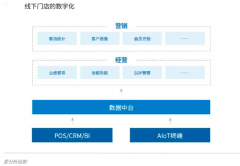 企業數字化經營策劃之品牌策劃四大亮點