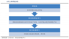 藍(lán)海戰(zhàn)略策劃之藍(lán)海戰(zhàn)略資源整合三原則