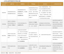 藍(lán)海戰(zhàn)略策劃之六大藍(lán)海開路先鋒（下）